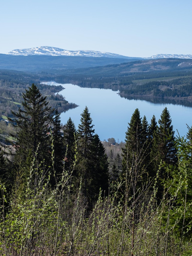 Fotograf i Åre Niclas Vestefjell