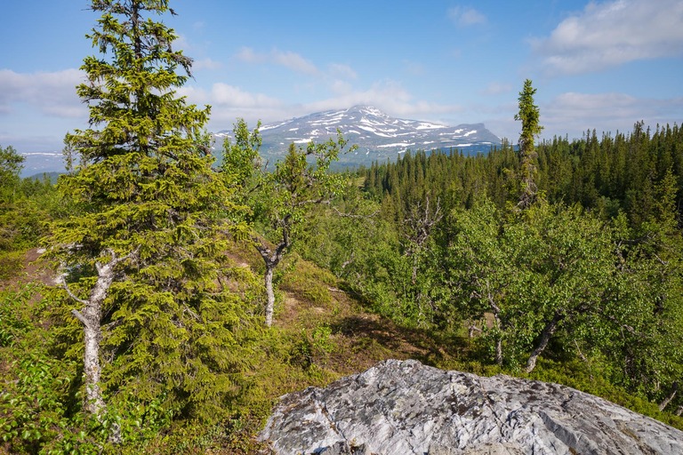 Fotograf i Åre Niclas Vestefjell