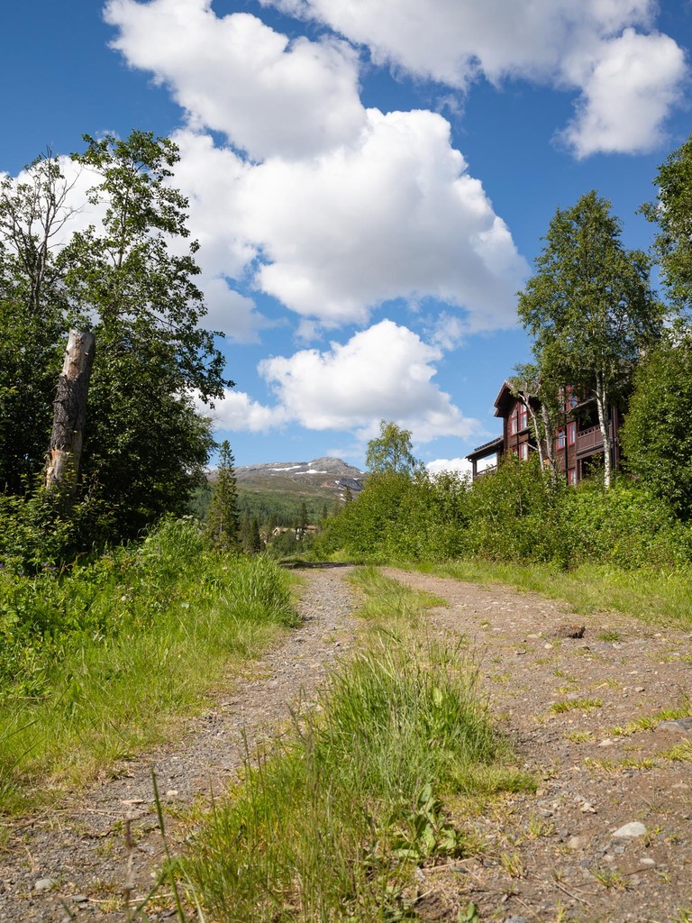 Fotograf i Åre Niclas Vestefjell