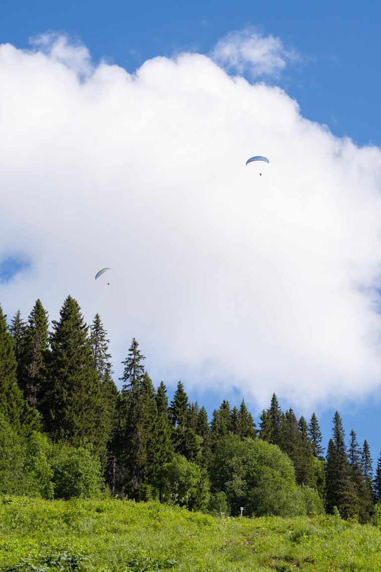 Fotograf i Åre Niclas Vestefjell