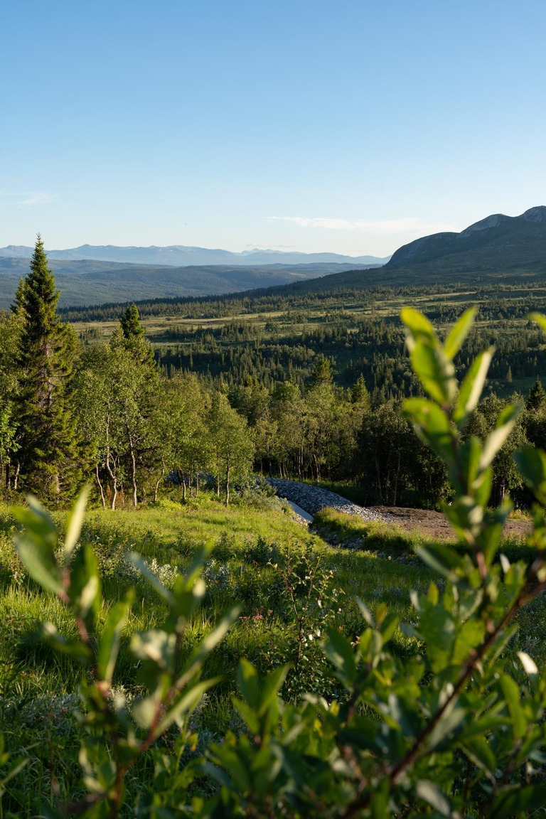 Fotograf i Åre Niclas Vestefjell